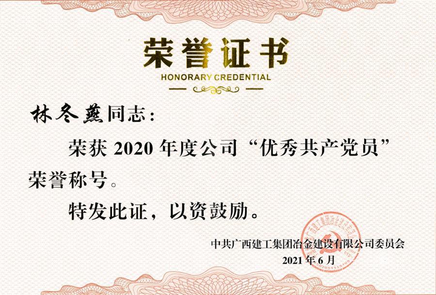 2024新澳门全年免费原料网