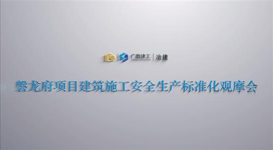 冶建公司磐龙府项目建筑施工安全生产标准化观摩会